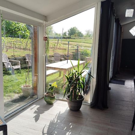 Gite L'Edenwine Doulezon Ngoại thất bức ảnh