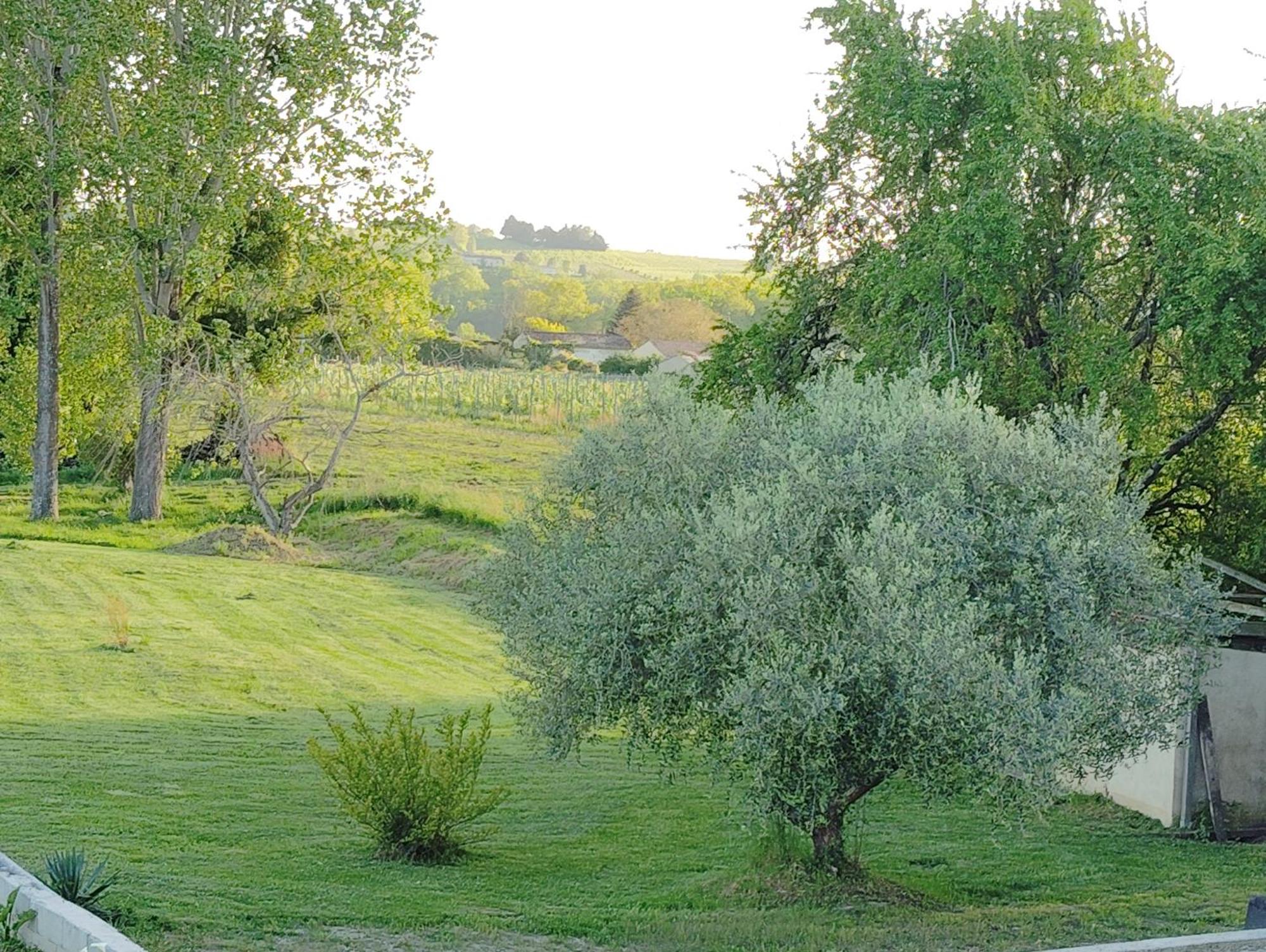 Gite L'Edenwine Doulezon Ngoại thất bức ảnh